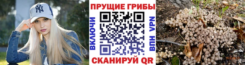 Псилоцибиновые грибы Psilocybine cubensis  наркотики  мега как войти  Кострома 