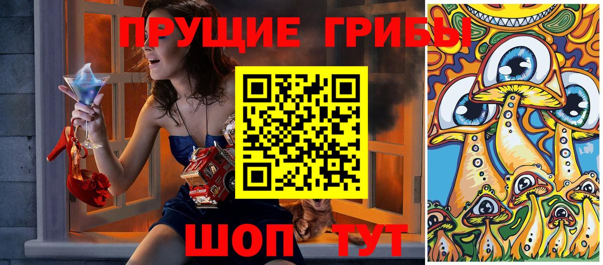 Псилоцибиновые грибы мицелий Кострома