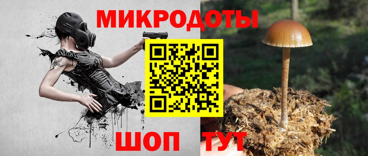 Галлюциногенные грибы Magic Shrooms  Вход с VPN  Кострома 