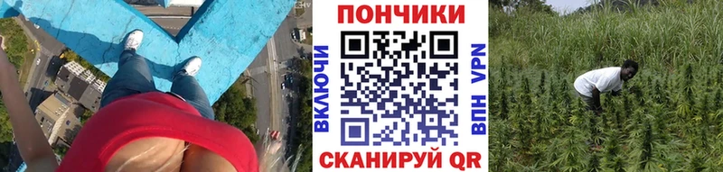 Марихуана MAZAR  Кострома 